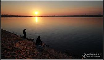 暮色江离,探寻江离古韵，感受暮色之美