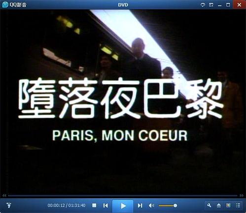 堕落夜巴黎,揭秘堕落夜巴黎的神秘面纱