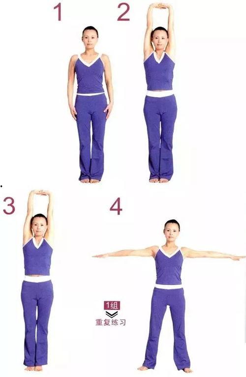 保持站立,探寻站立之美