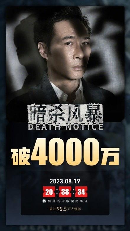 暗杀风暴普通话版,暗影重重下的生死较量